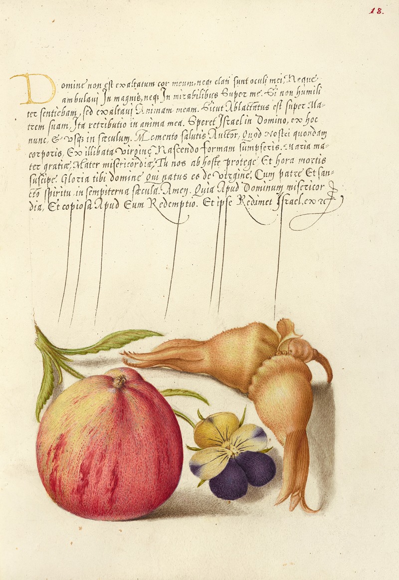 Joris Hoefnagel - Common Apple, European Wild Pansy, and Giant Filbert