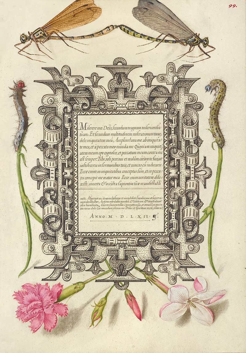 Joris Hoefnagel - Damselflies, Caterpillars, Carnation, and Poet’s Jasmine