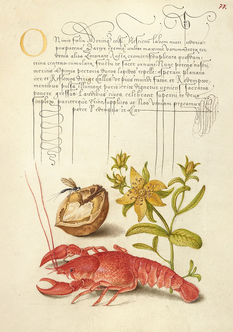 Joris Hoefnagel - Insect, English Walnut, Saint John’s Wort, and Crayfish