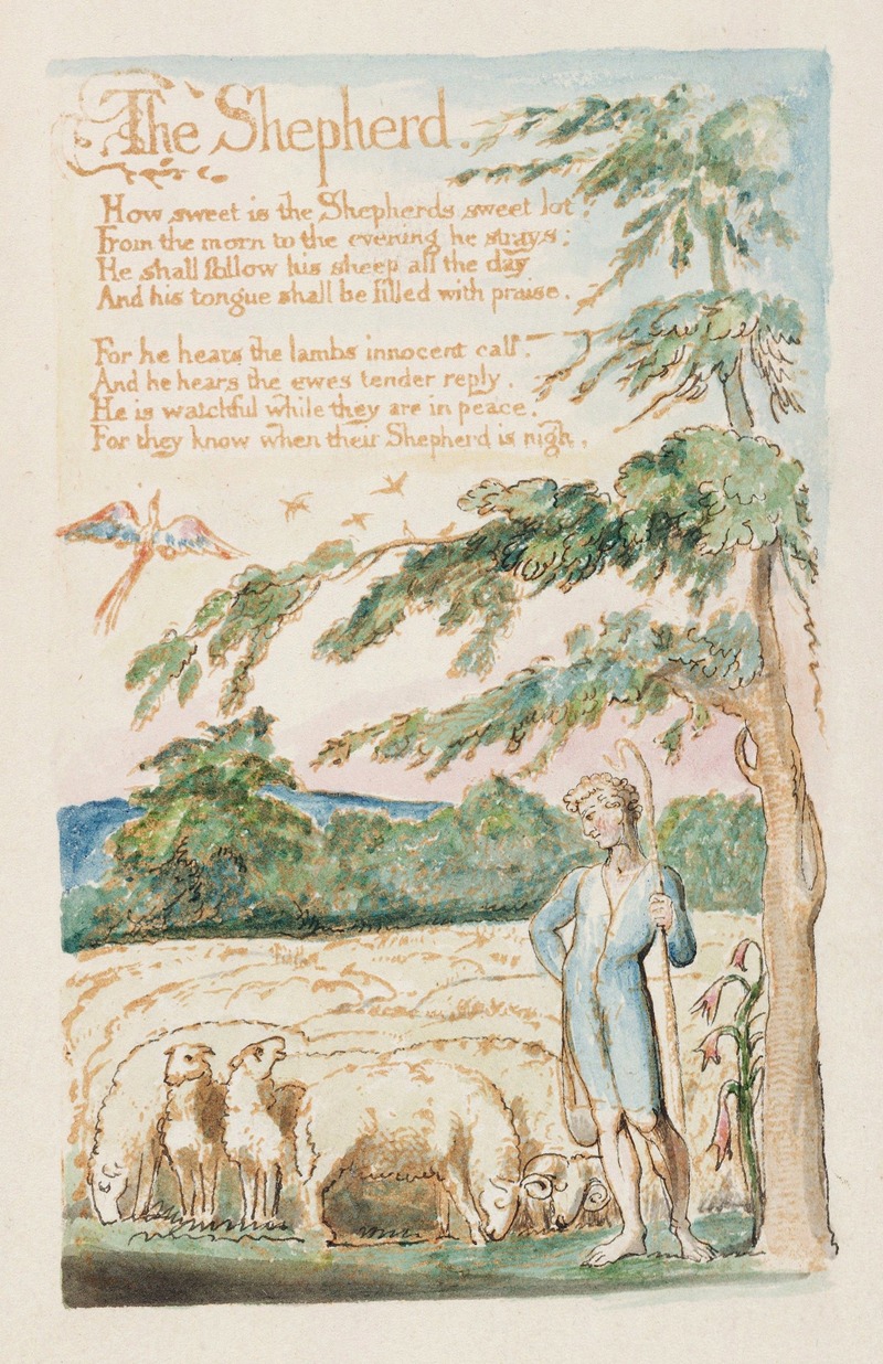 William Blake - Pl. 21 – The Shephard