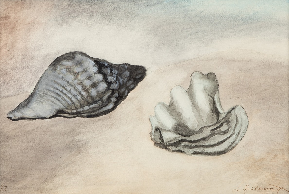 Léon Spilliaert - Coquillages