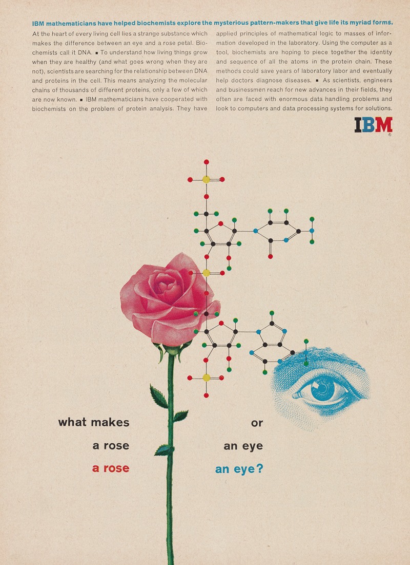 International Business Machines Corporation - What makes a rose a rose or an eye an eye