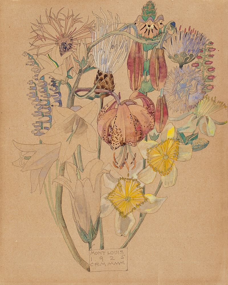 Charles Rennie Mackintosh - Mont Louis – Flower Study