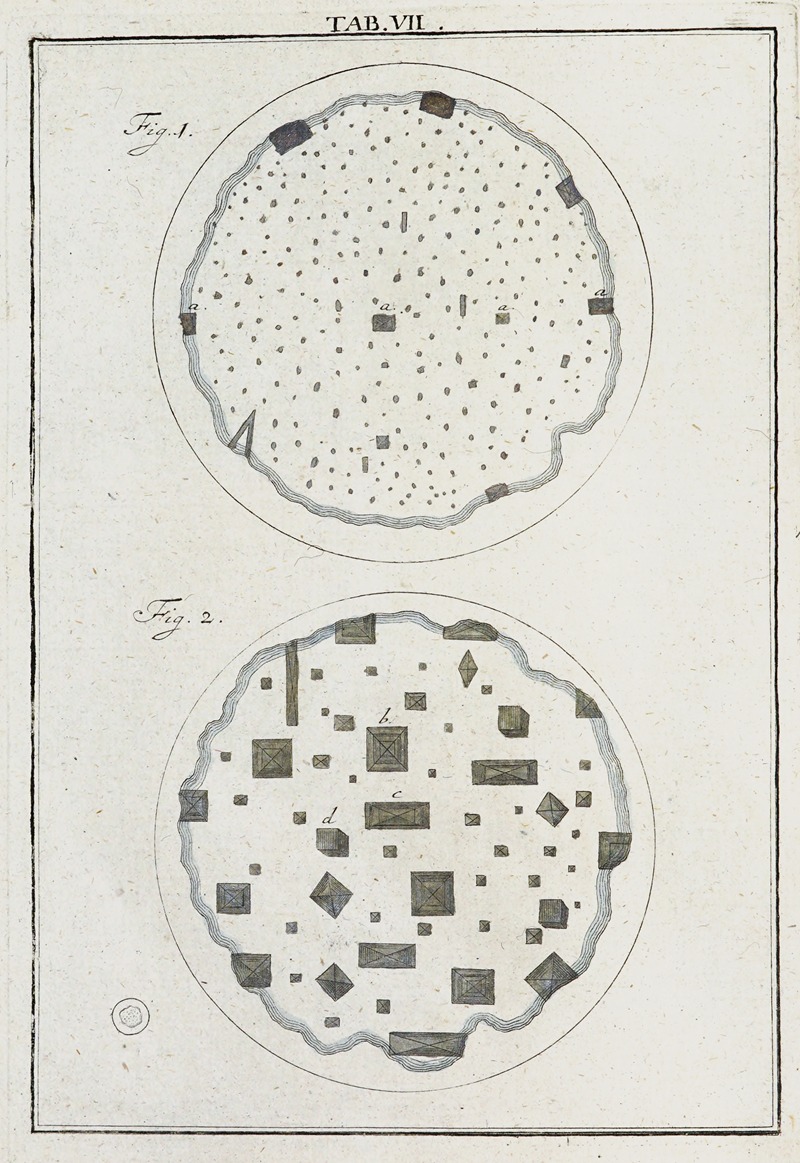 Martin Frobenius Ledermüller - Amusement microscopique tant pour l’esprit, que pour les yeux Pl.008