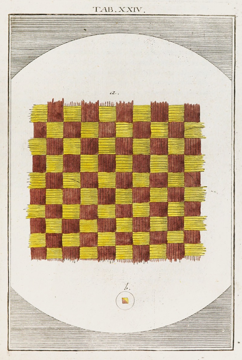 Martin Frobenius Ledermüller - Amusement microscopique tant pour l’esprit, que pour les yeux Pl.025