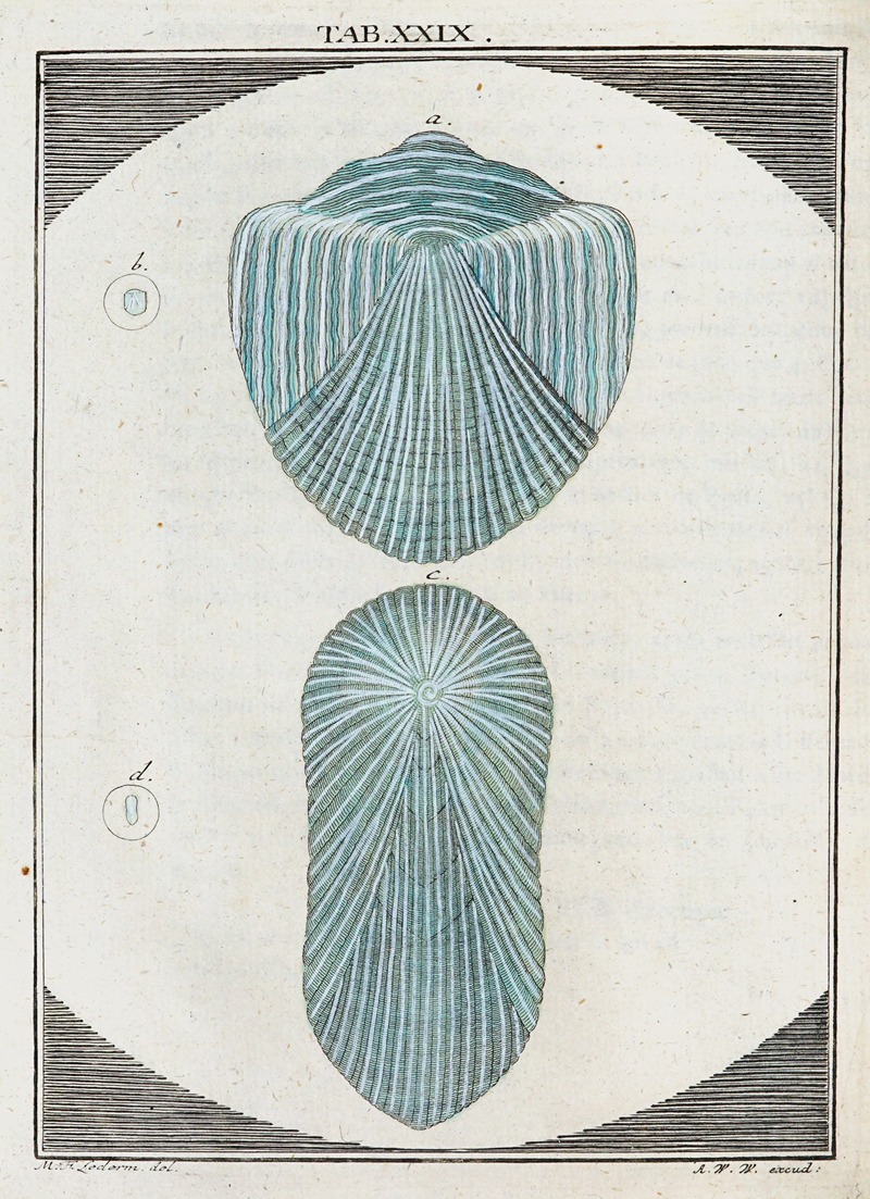 Martin Frobenius Ledermüller - Amusement microscopique tant pour l’esprit, que pour les yeux Pl.030