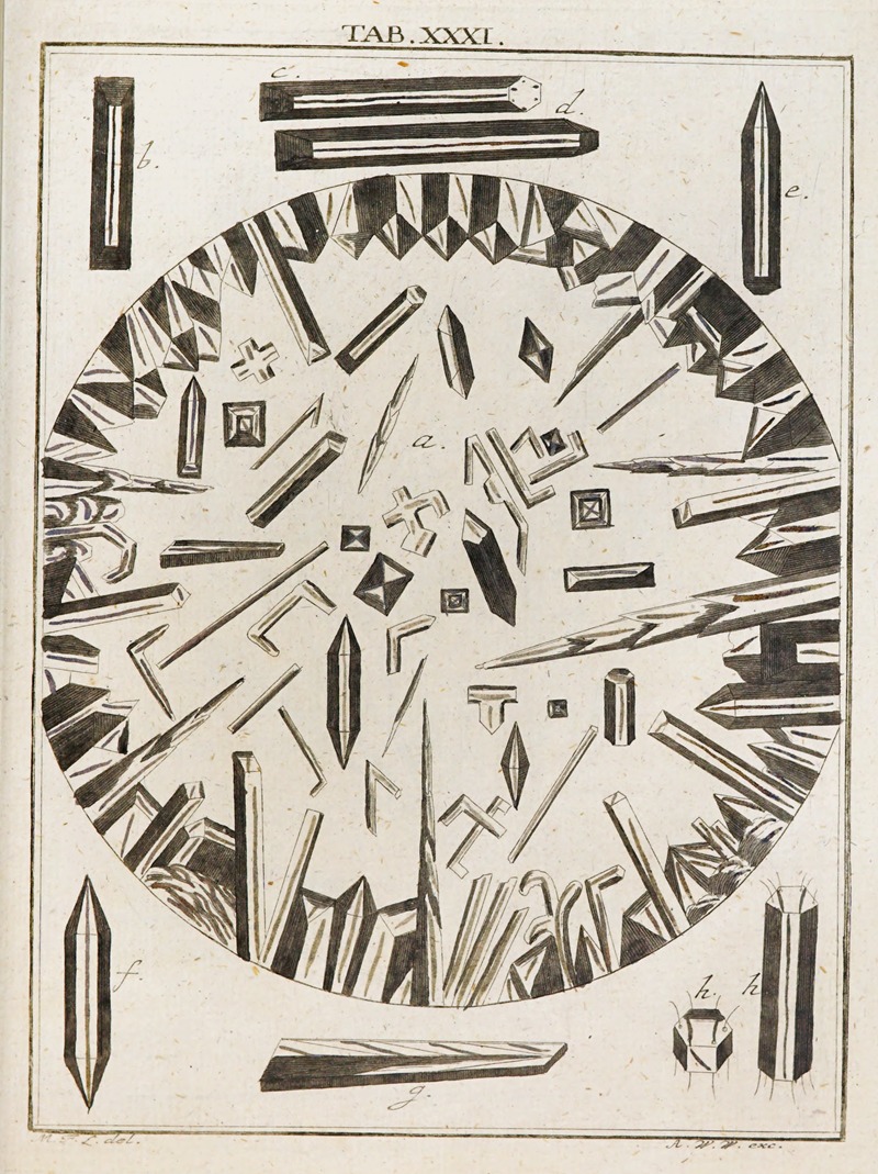 Martin Frobenius Ledermüller - Amusement microscopique tant pour l’esprit, que pour les yeux Pl.032