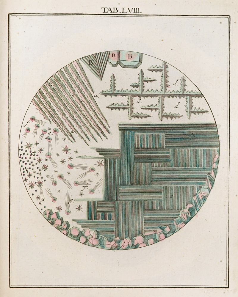 Martin Frobenius Ledermüller - Amusement microscopique tant pour l’esprit, que pour les yeux Pl.058