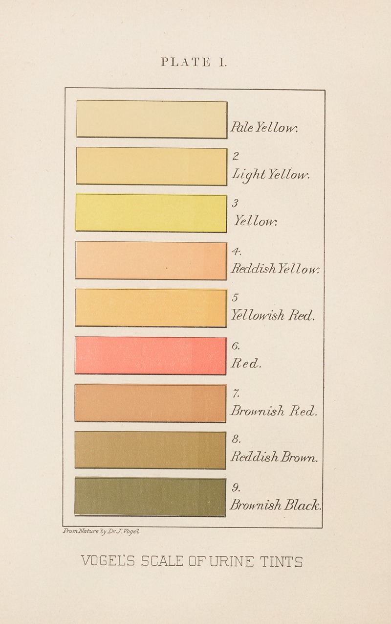 Charles Wesley Purdy - Plate I: Vogel’s Scale of Urine Tints