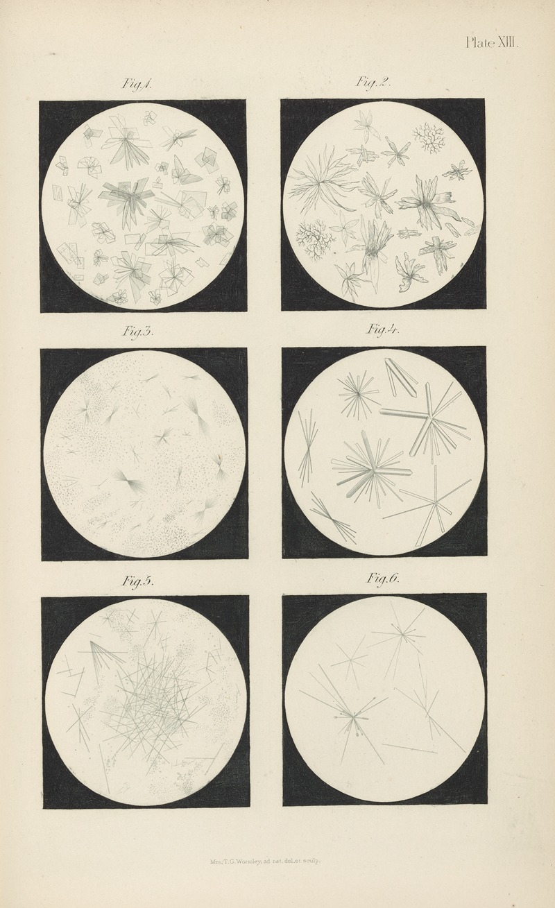 Theodore George Wormley - Micro-Chemistry of Poisons Pl.13