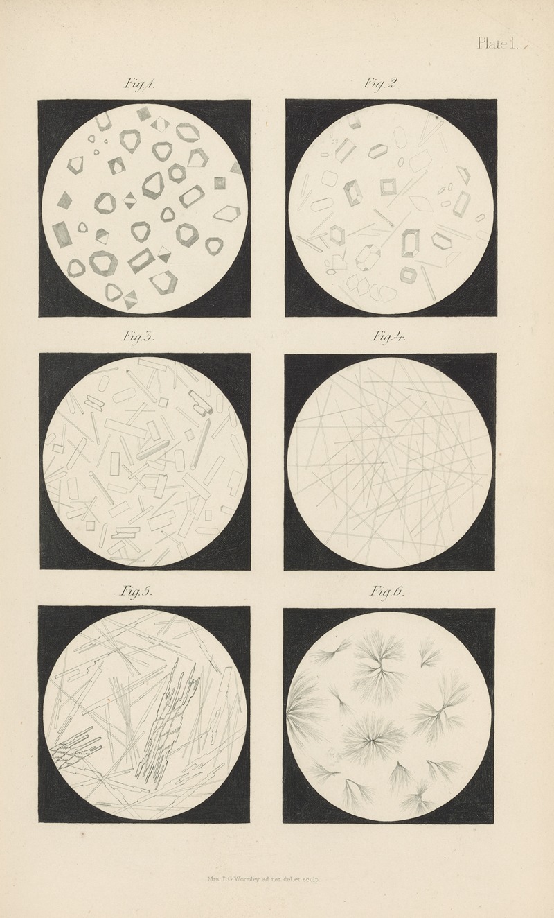 Theodore George Wormley - Micro-Chemistry of Poisons Pl.17