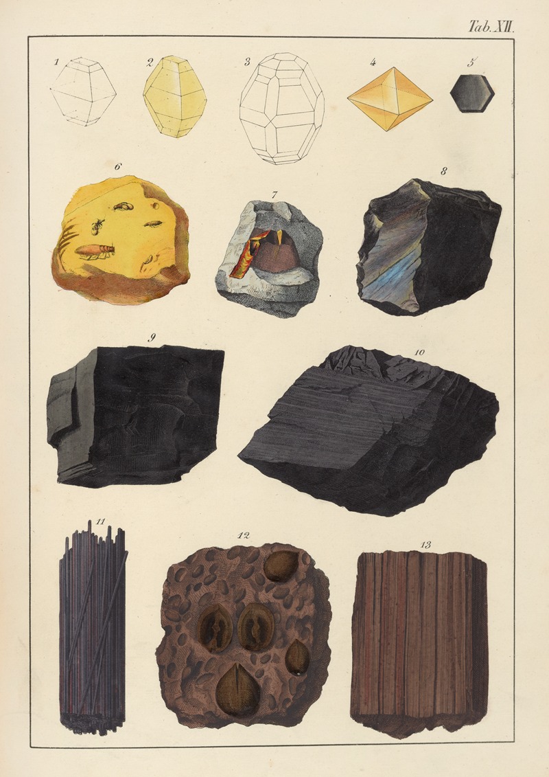 Johann Gottlob Kurr - Plate XII: Sulphur, Honey-Stone, Graphite, Coal, Lignite