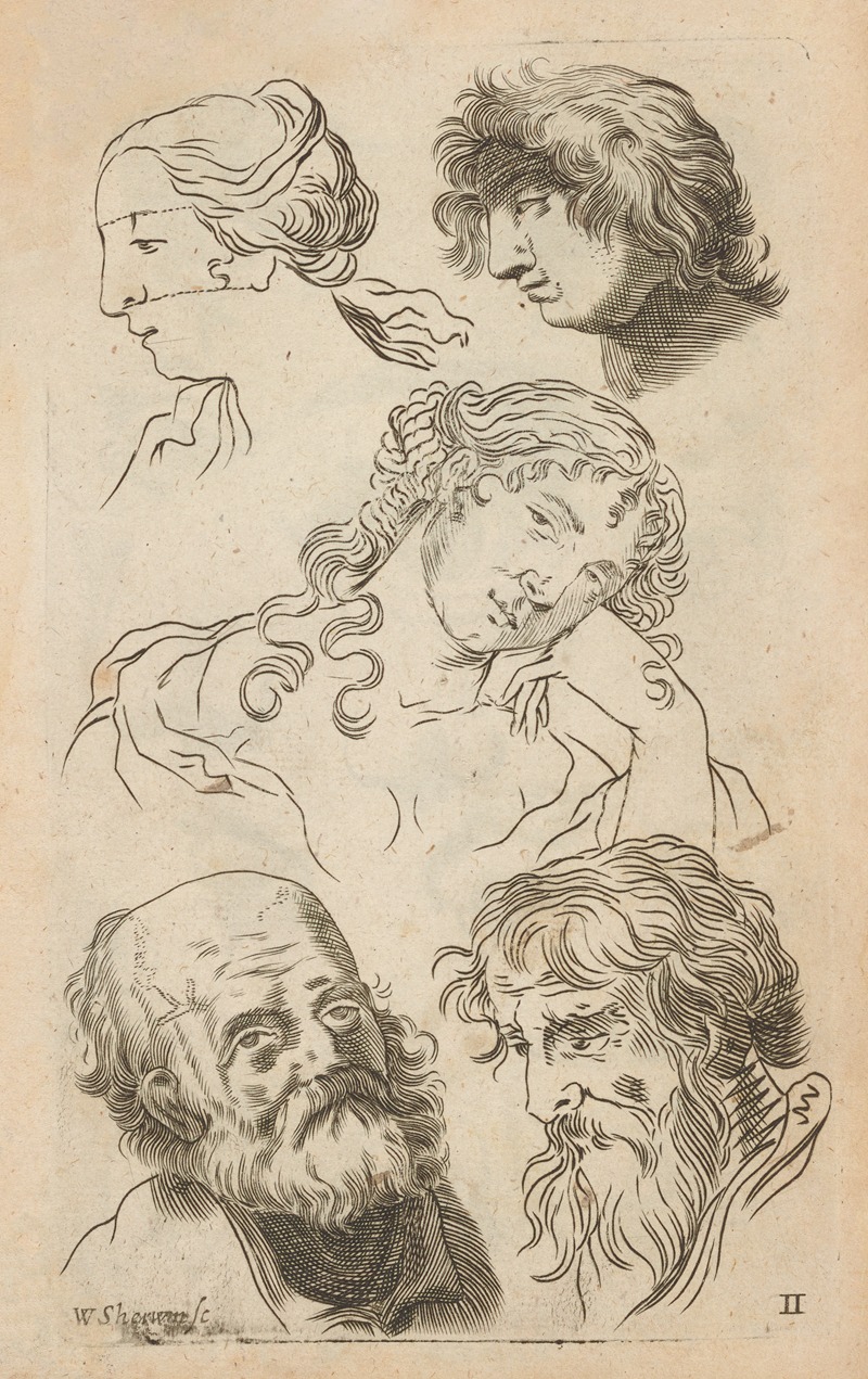 William Salmon - Plate II: Artist study of male heads and female head:torso