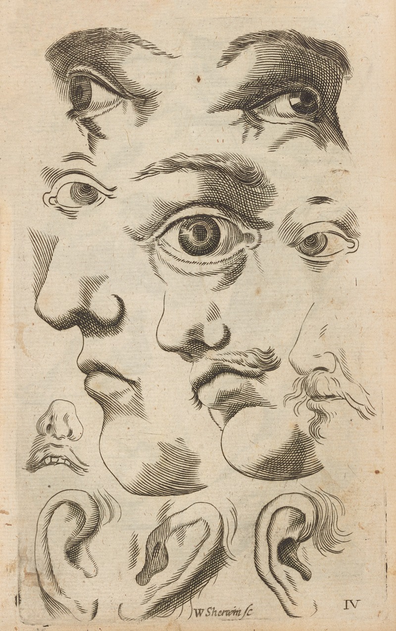 William Salmon - Plate IV: Artist study of facial features