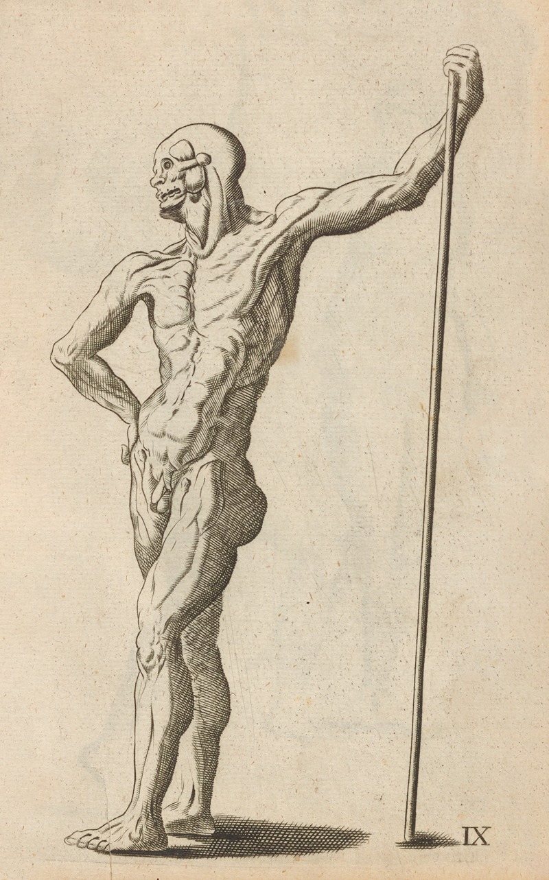 William Salmon - Plate IX: Artist study of anatomical male standing