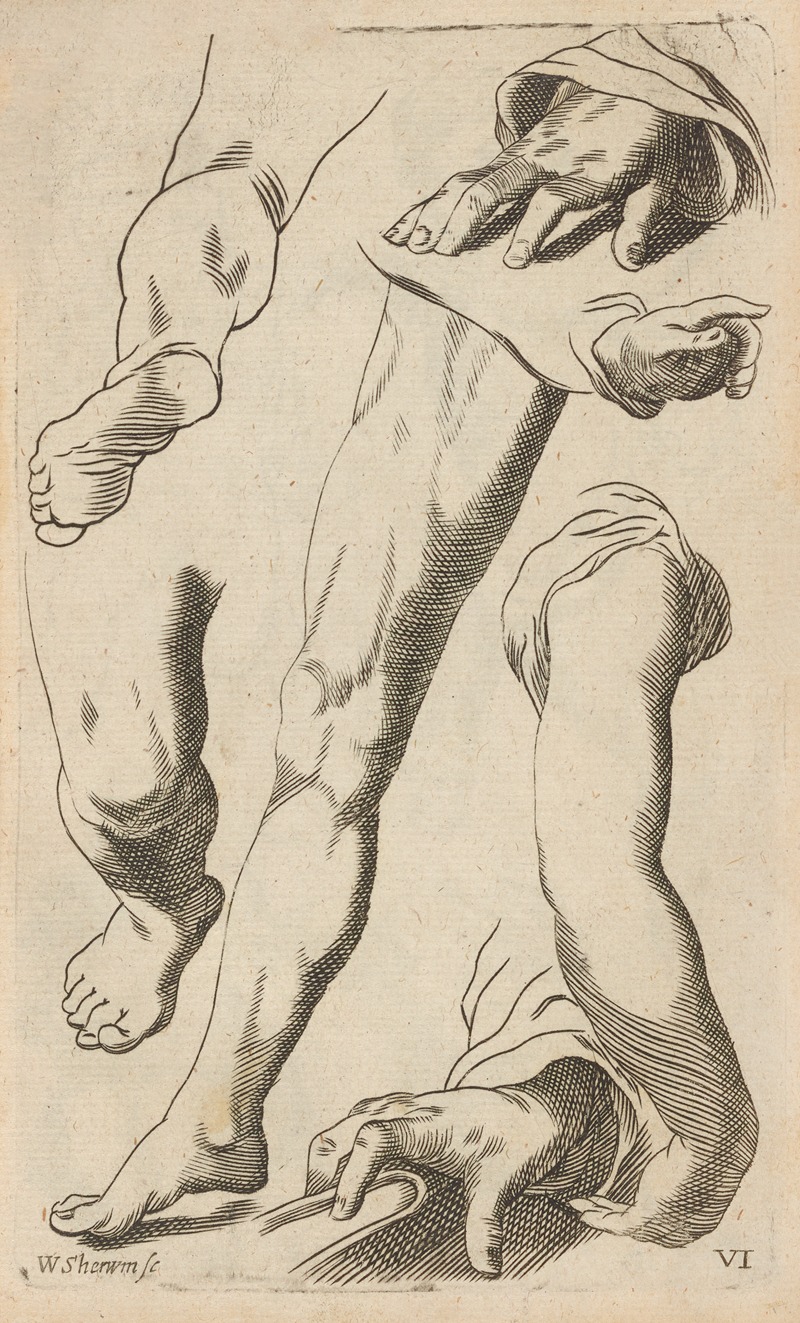 William Salmon - Plate VI: Artist study of legs, arms, hands and feet