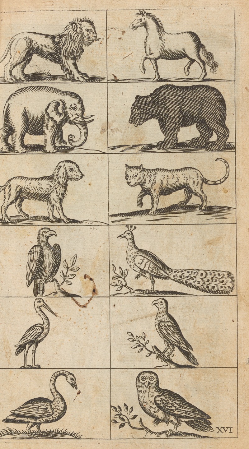 William Salmon - Plate XVI: Illustrations of various animals
