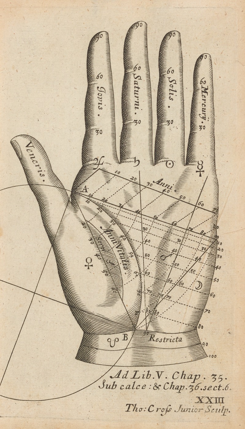 William Salmon - Plate XXIII: Palmistry chart of left hand