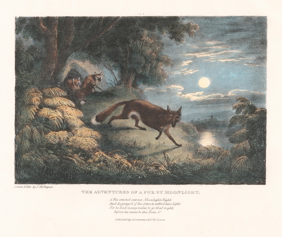 Thomas Mann Baynes - The Adventures of a Fox by Moonlight