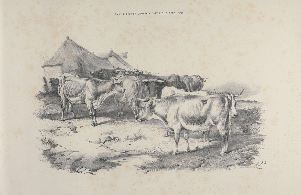 Thomas Sidney Cooper - Thomas Sydney Cooper’s cattle subjects Pl.16