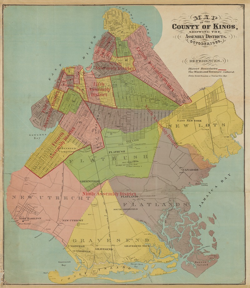 Anonymous - Map of the county of Kings, showing the Assembly districts, October 1869