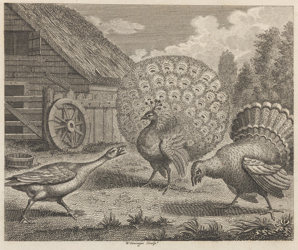 John Wootton - Fable XI. The Peacock, the Turkey, and the Goose