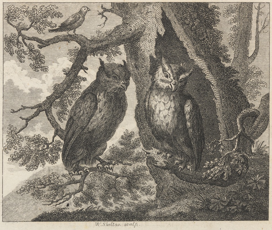John Wootton - Fable XXXII. The Two Owls and the Sparrow