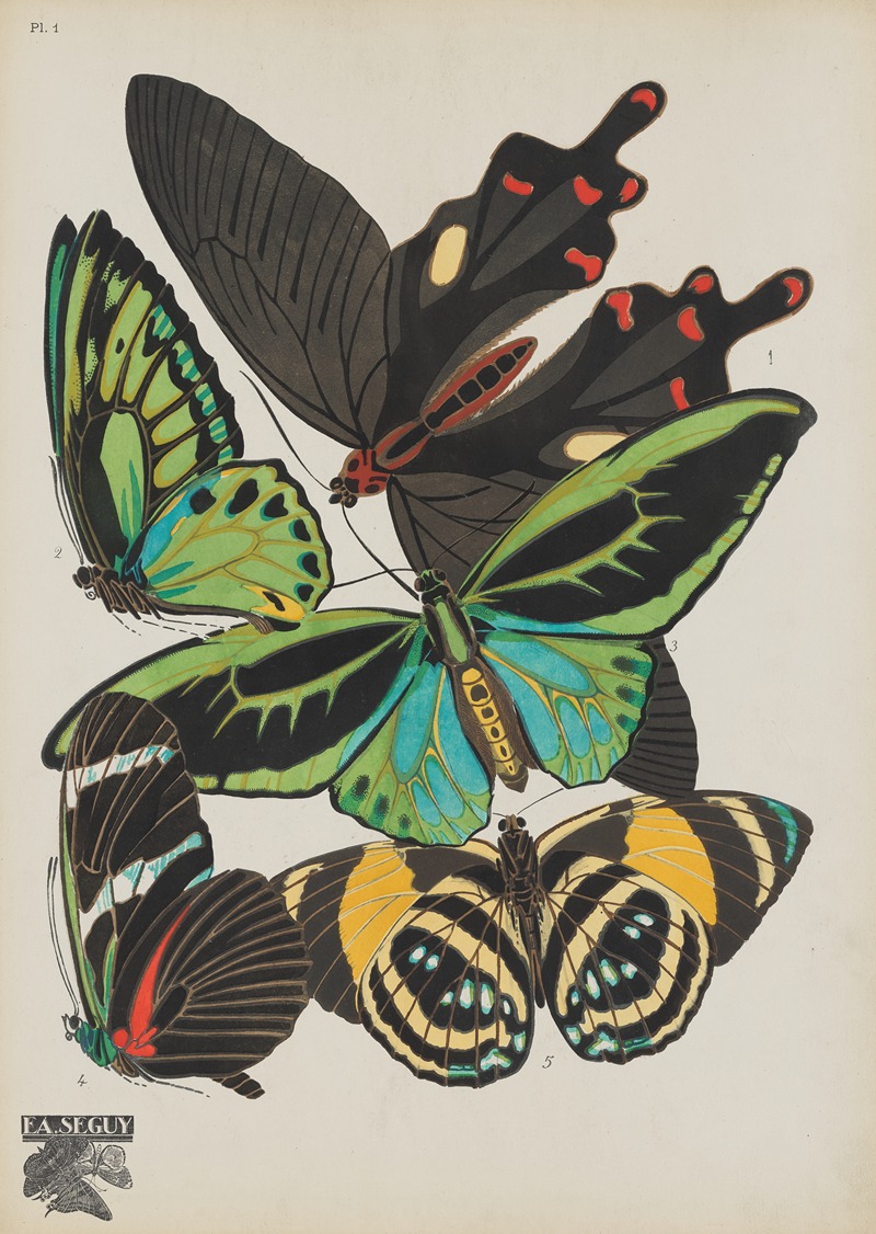 Emile-Allain Séguy - Papillons Pl.01