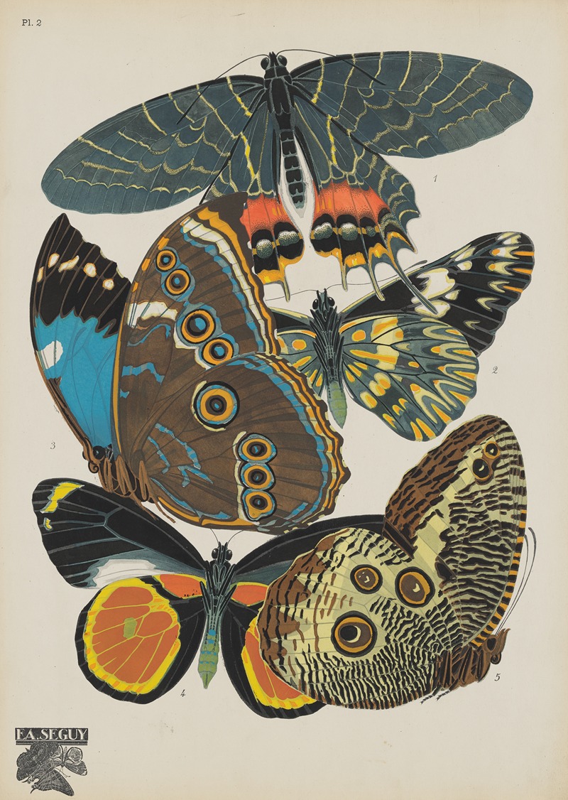 Emile-Allain Séguy - Papillons Pl.02