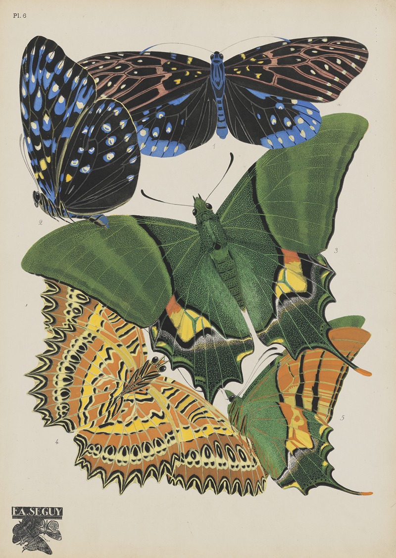 Emile-Allain Séguy - Papillons Pl.06