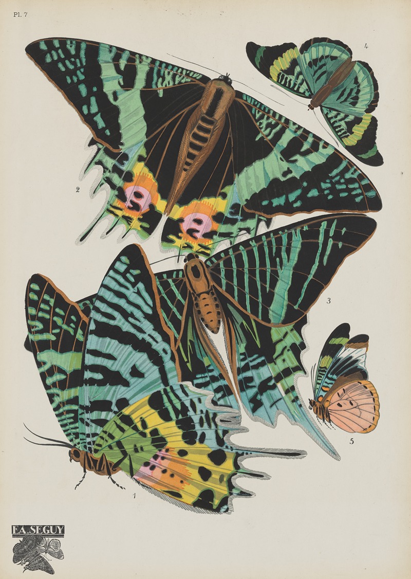 Emile-Allain Séguy - Papillons Pl.07
