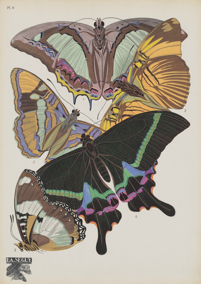 Emile-Allain Séguy - Papillons Pl.08