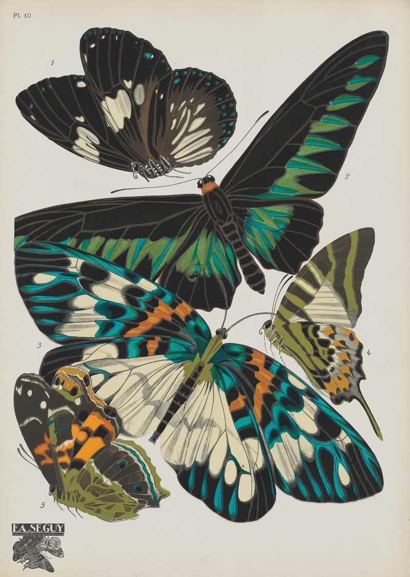 Emile-Allain Séguy - Papillons Pl.10