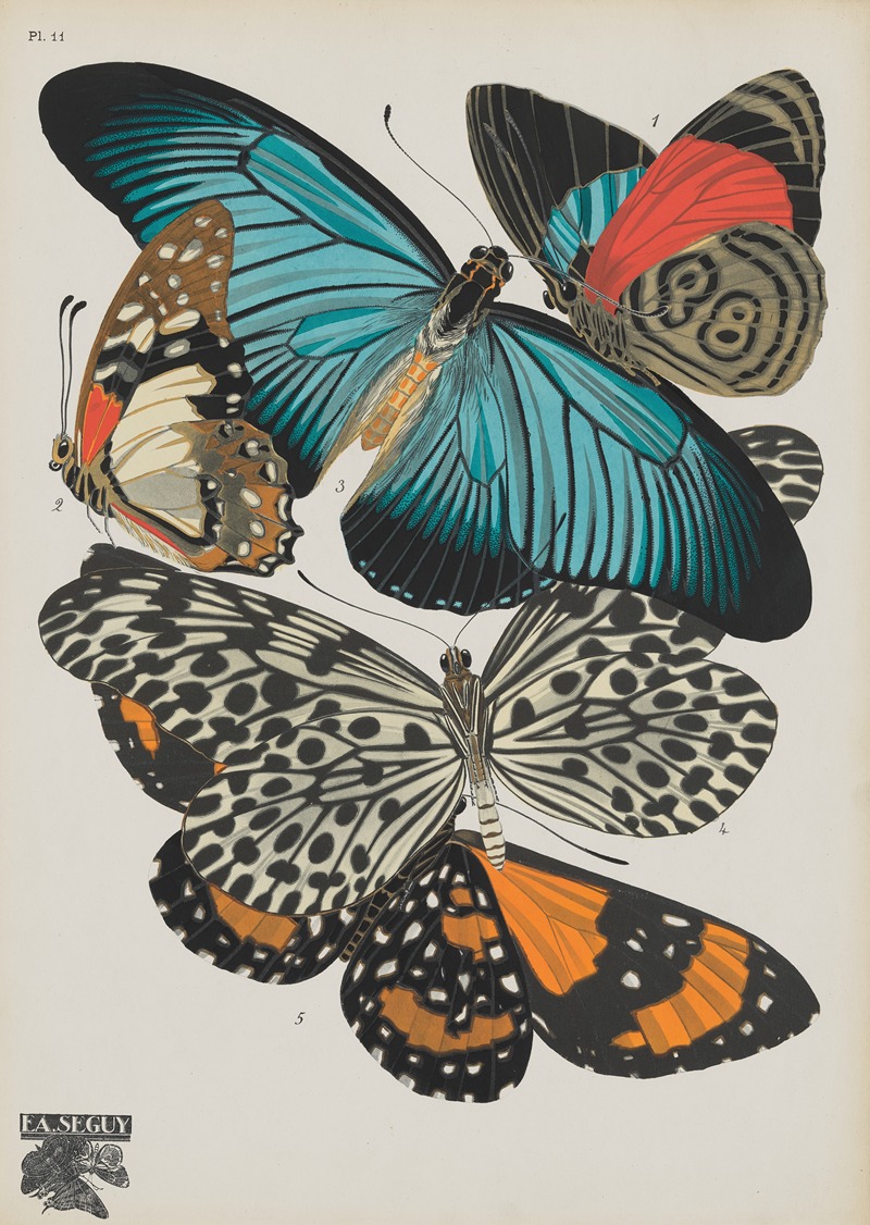 Emile-Allain Séguy - Papillons Pl.11
