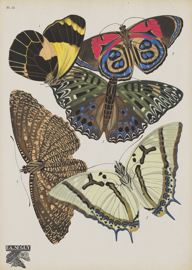 Emile-Allain Séguy - Papillons Pl.12
