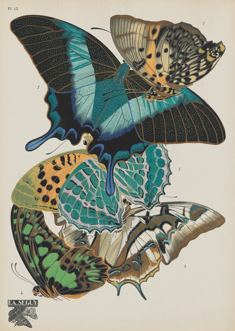 Emile-Allain Séguy - Papillons Pl.13