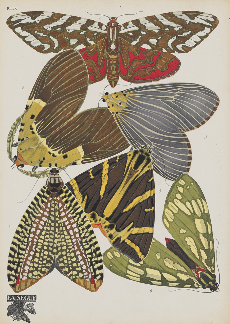 Emile-Allain Séguy - Papillons Pl.14