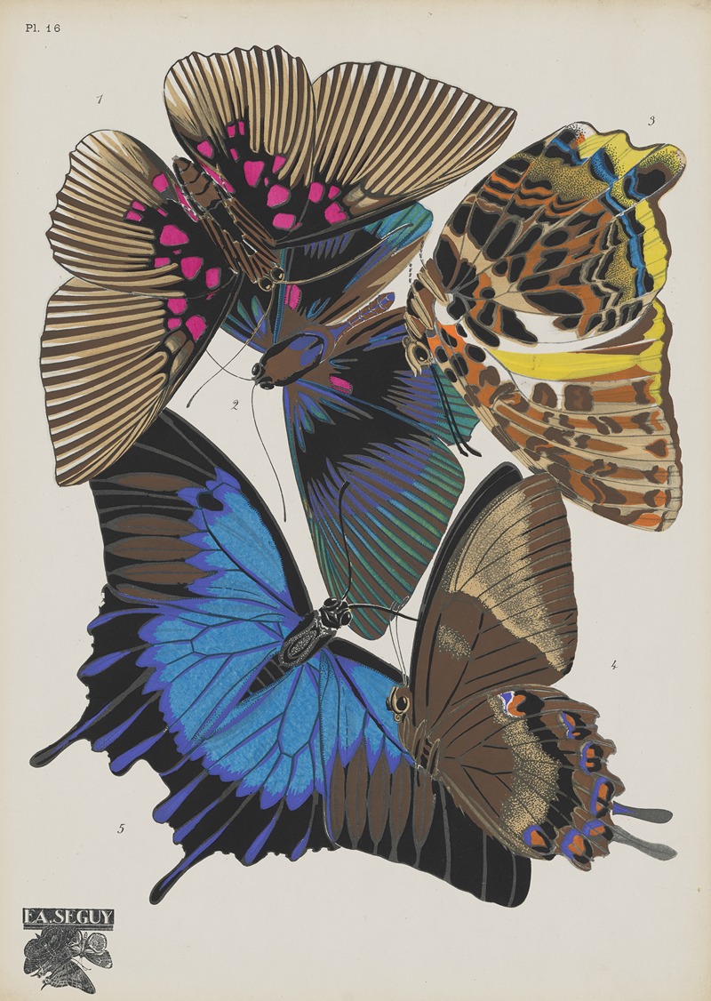Emile-Allain Séguy - Papillons Pl.16