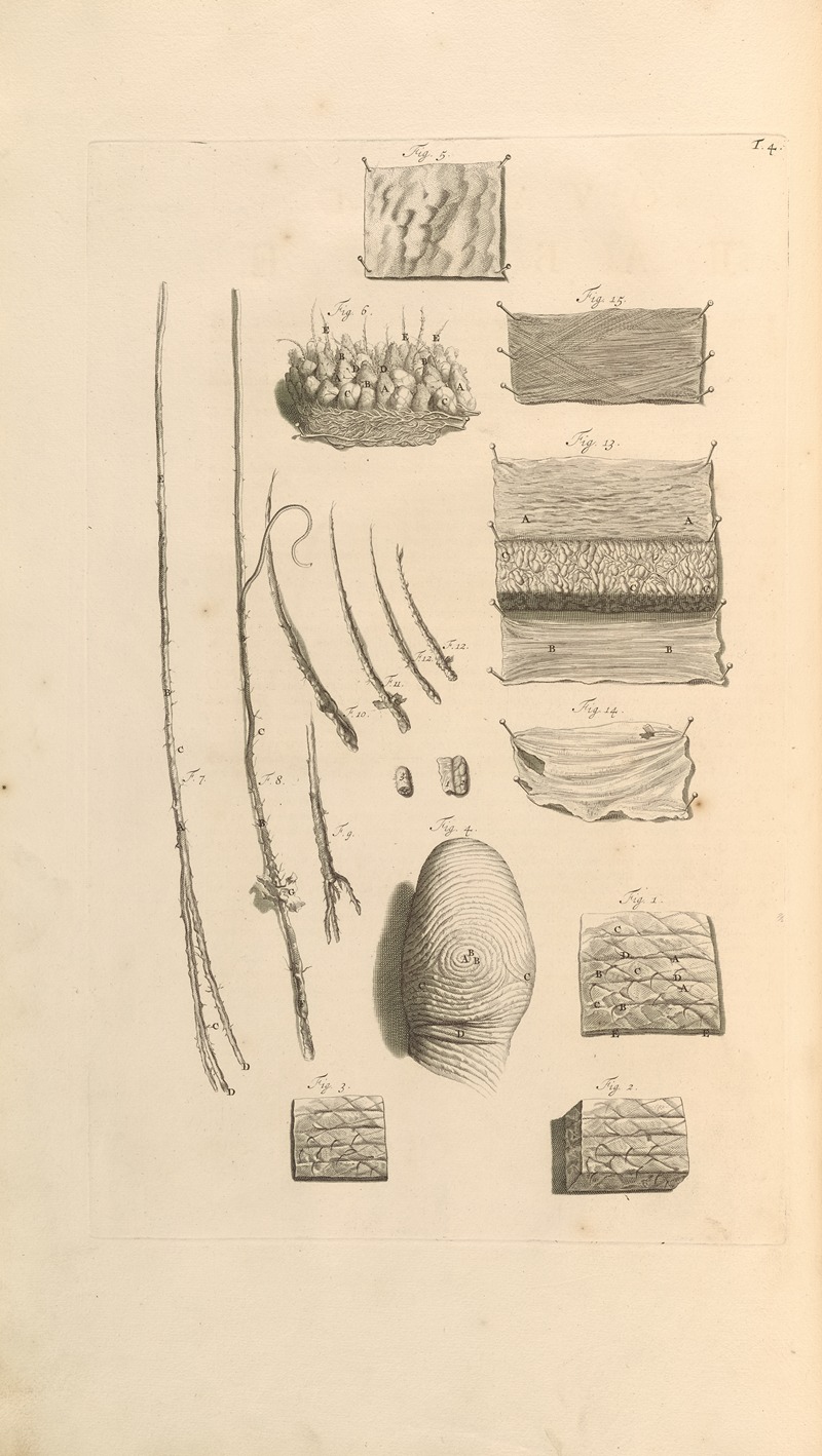 Gerard de Lairesse - Anatomia humani corporis Pl.005