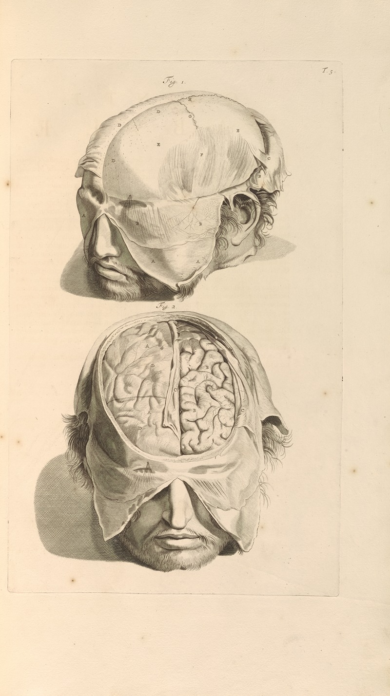 Gerard de Lairesse - Anatomia humani corporis Pl.006