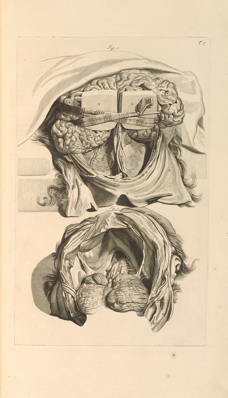 Gerard de Lairesse - Anatomia humani corporis Pl.008