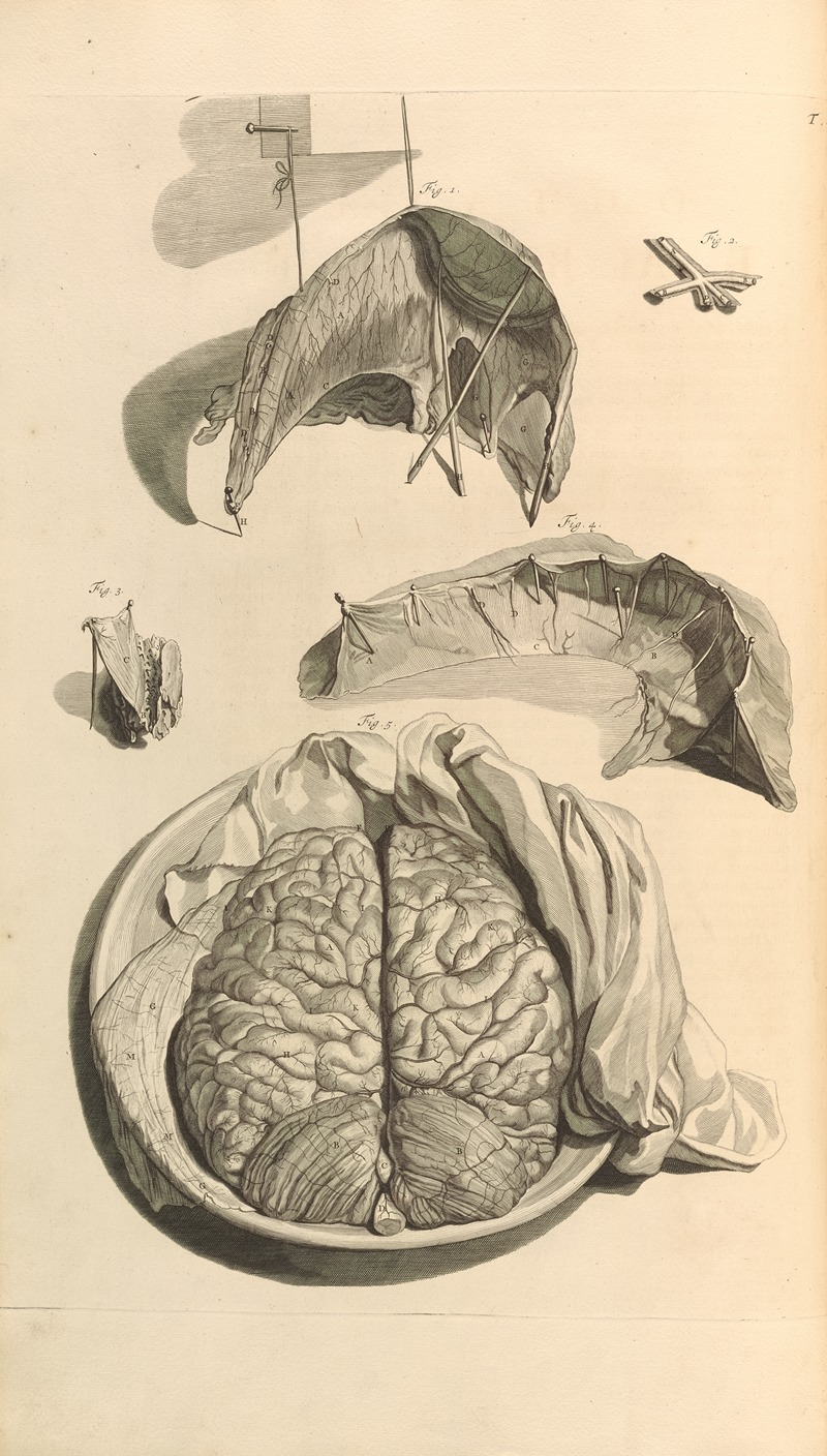 Gerard de Lairesse - Anatomia humani corporis Pl.009