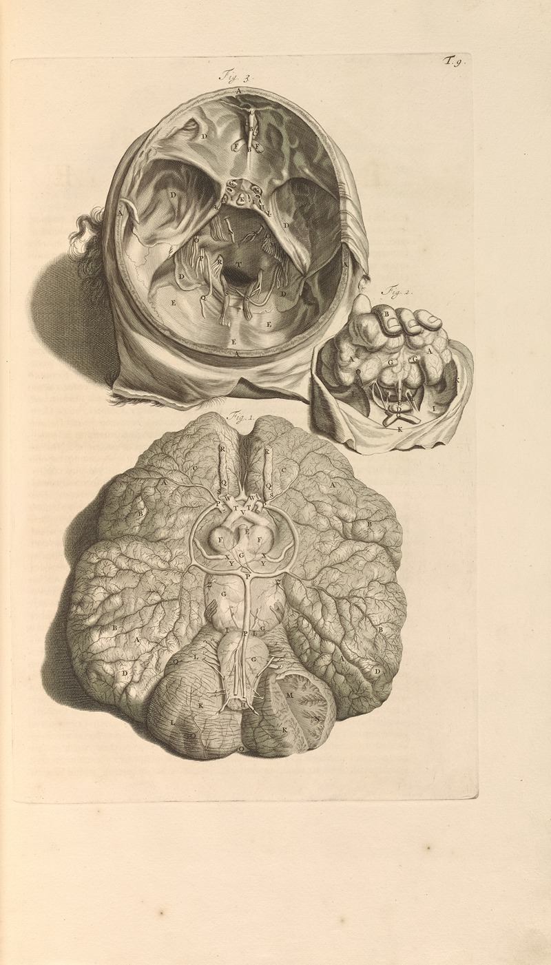 Gerard de Lairesse - Anatomia humani corporis Pl.010