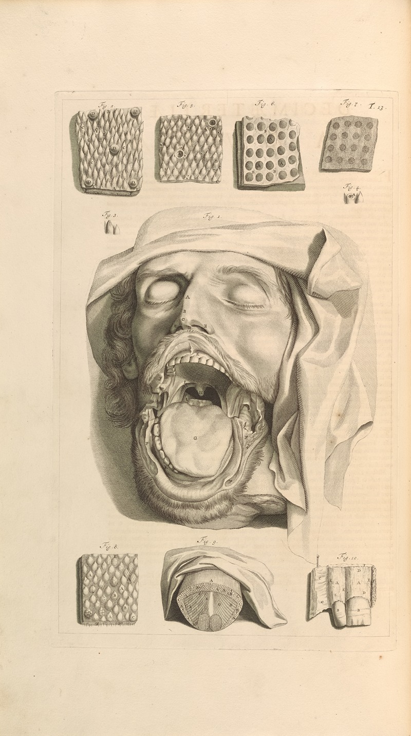 Gerard de Lairesse - Anatomia humani corporis Pl.014