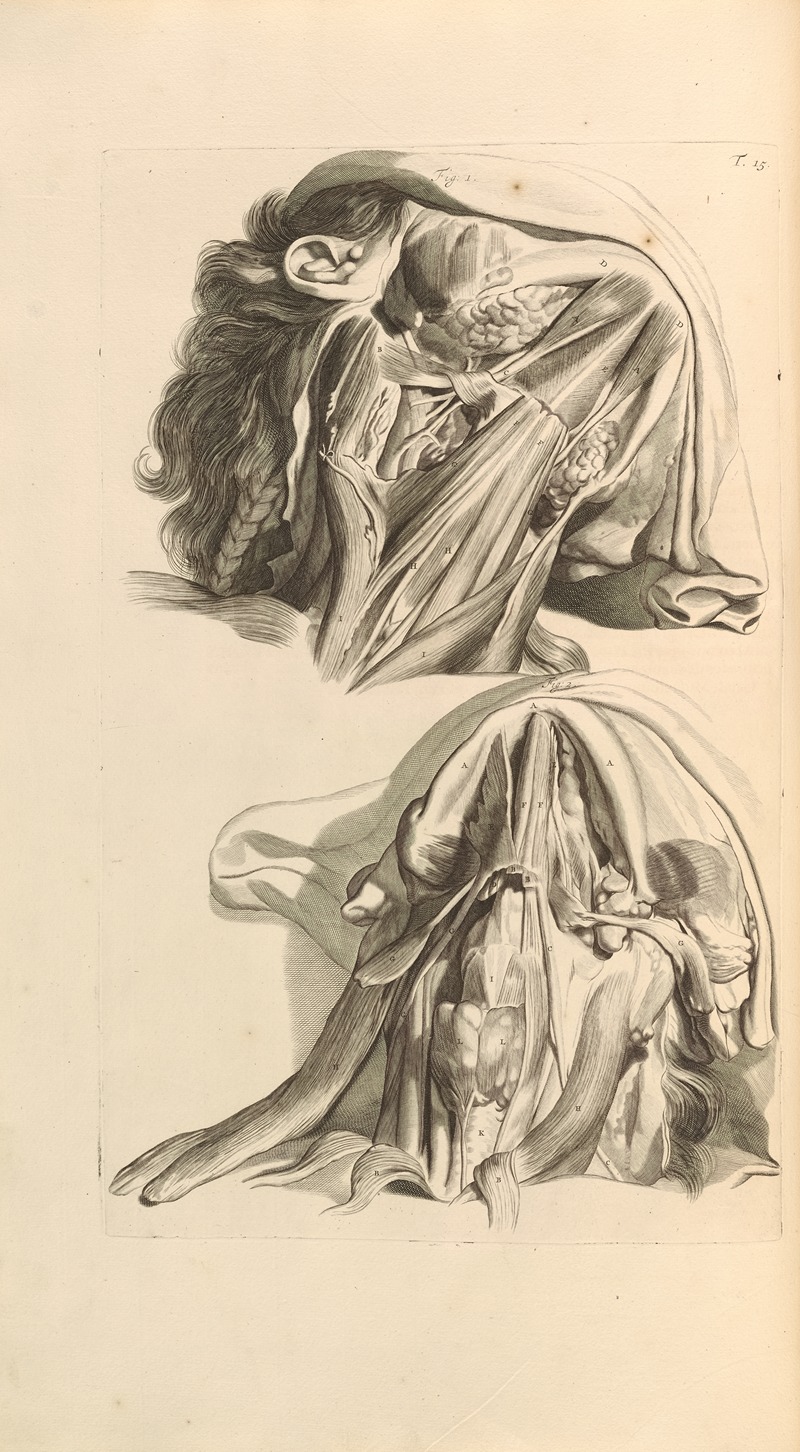 Gerard de Lairesse - Anatomia humani corporis Pl.016