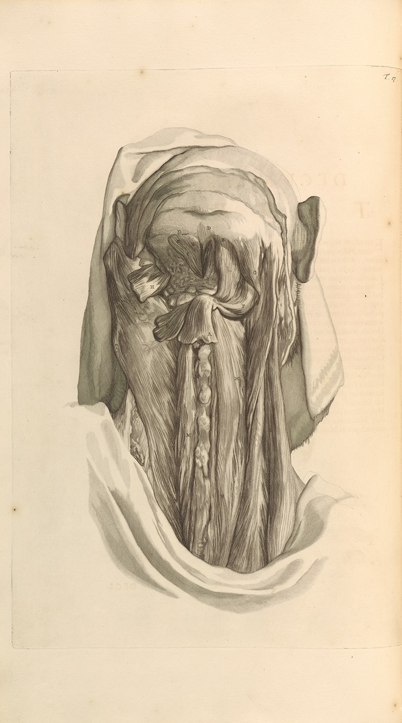 Gerard de Lairesse - Anatomia humani corporis Pl.018