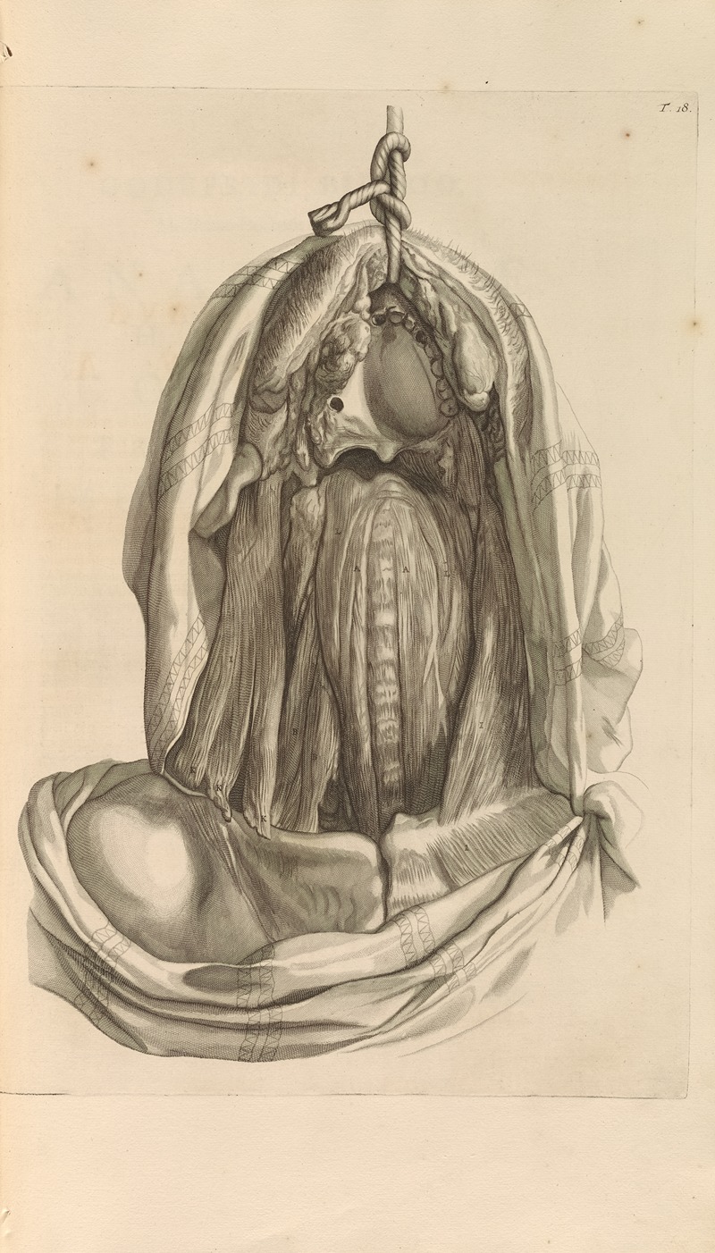 Gerard de Lairesse - Anatomia humani corporis Pl.019