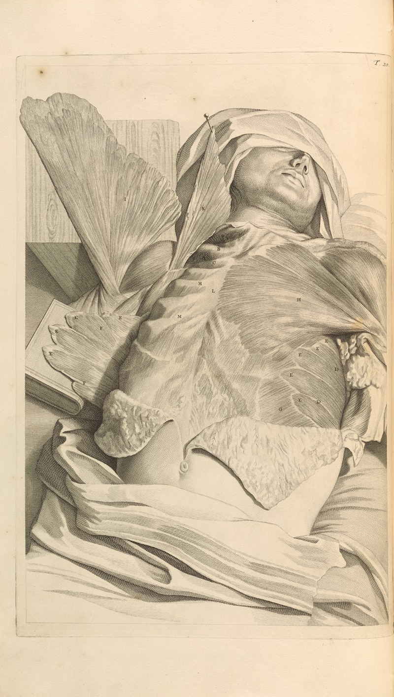 Gerard de Lairesse - Anatomia humani corporis Pl.021