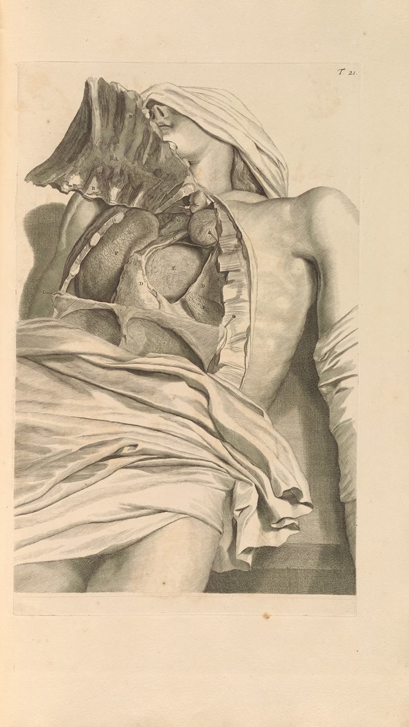 Gerard de Lairesse - Anatomia humani corporis Pl.022