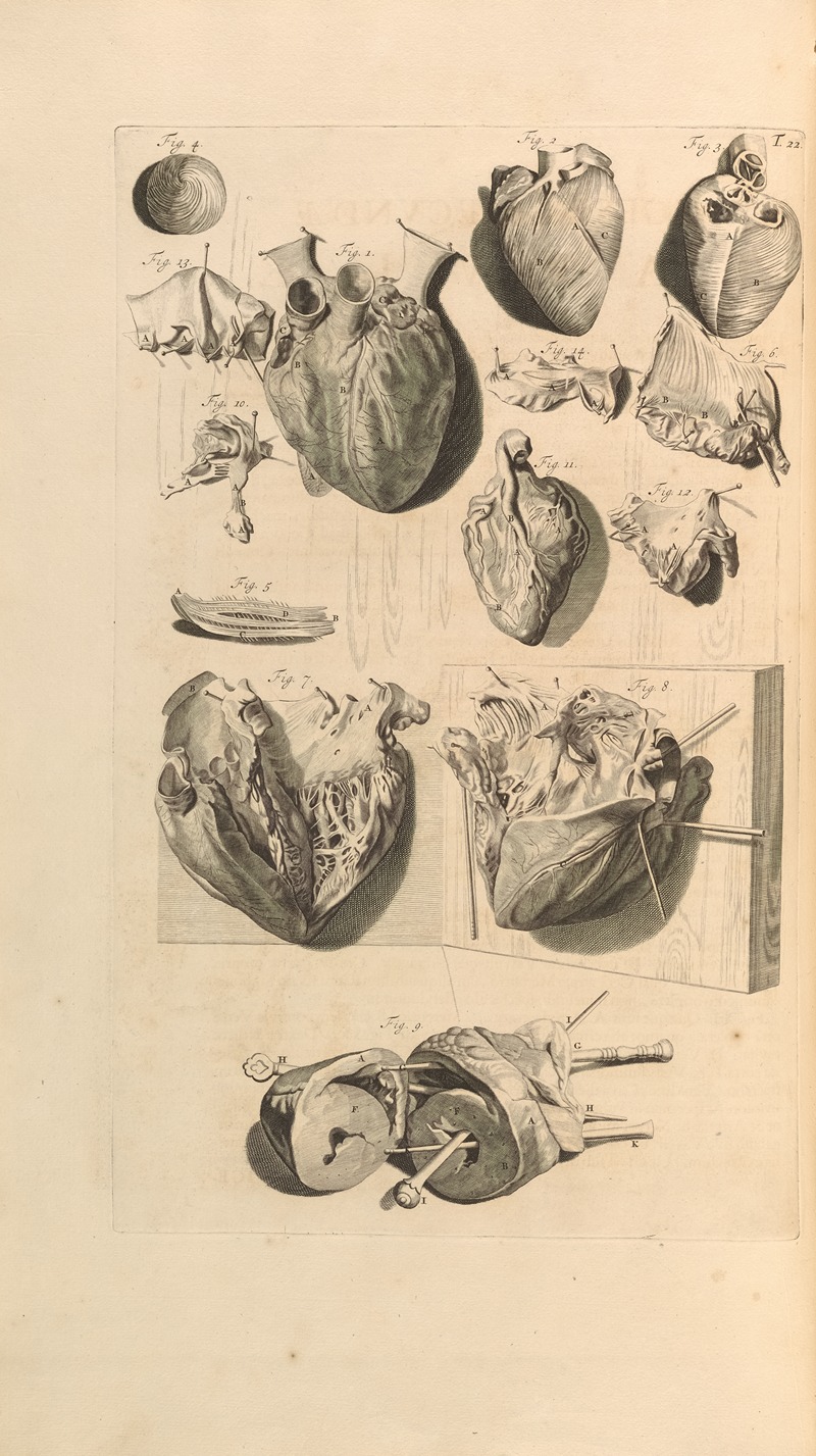 Gerard de Lairesse - Anatomia humani corporis Pl.023